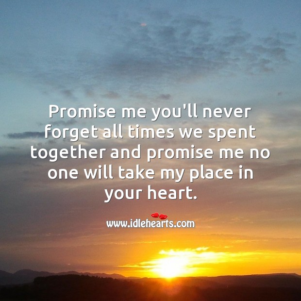 Promise me you’ll never forget all times we spent together. Promise Quotes Image