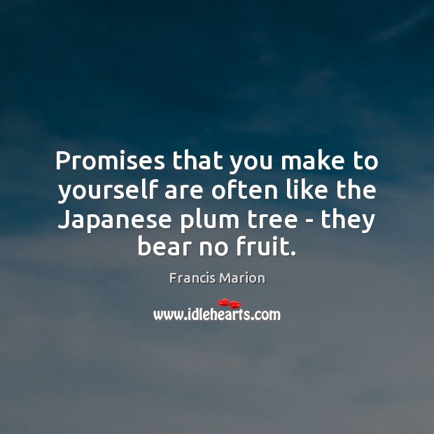 Promises that you make to yourself are often like the Japanese plum Image