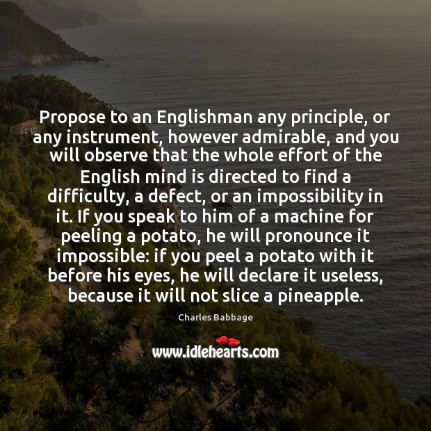 Propose to an Englishman any principle, or any instrument, however admirable, and Charles Babbage Picture Quote