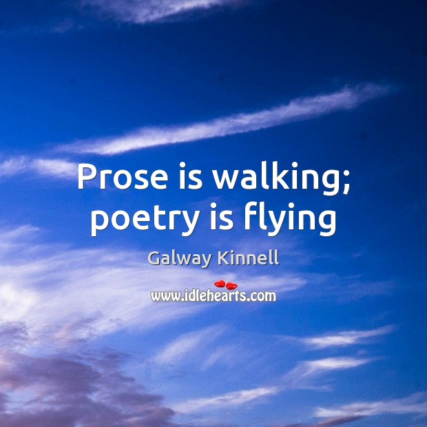 Prose is walking; poetry is flying Galway Kinnell Picture Quote