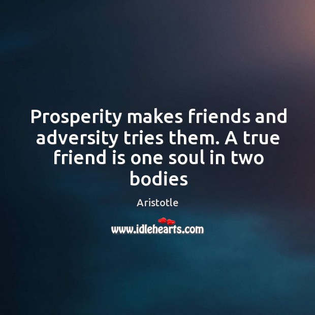 Prosperity makes friends and adversity tries them. A true friend is one soul in two bodies True Friends Quotes Image