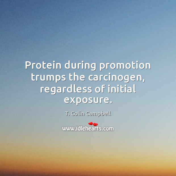 Protein during promotion trumps the carcinogen, regardless of initial exposure. T. Colin Campbell Picture Quote