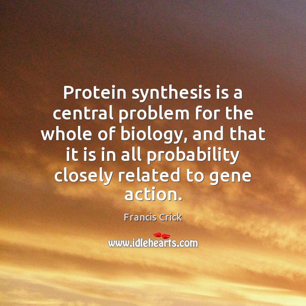 Protein synthesis is a central problem for the whole of biology, and Francis Crick Picture Quote