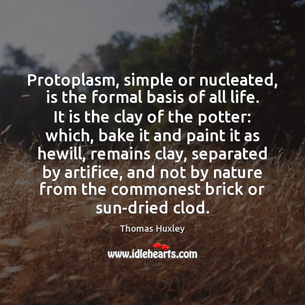 Protoplasm, simple or nucleated, is the formal basis of all life. It Image