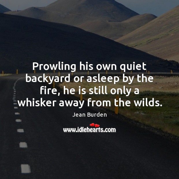 Prowling his own quiet backyard or asleep by the fire, he is Jean Burden Picture Quote