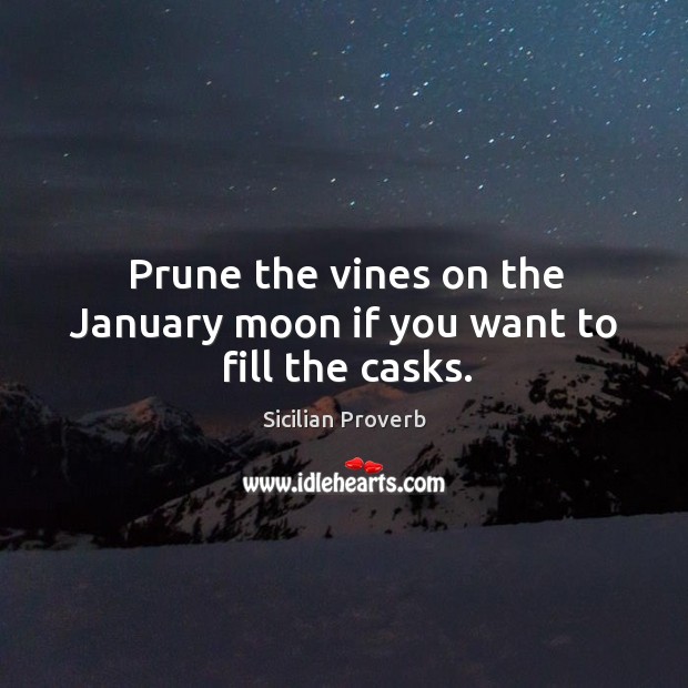 Prune the vines on the january moon if you want to fill the casks. Sicilian Proverbs Image