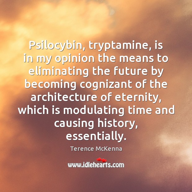 Psilocybin, tryptamine, is in my opinion the means to eliminating the future Terence McKenna Picture Quote
