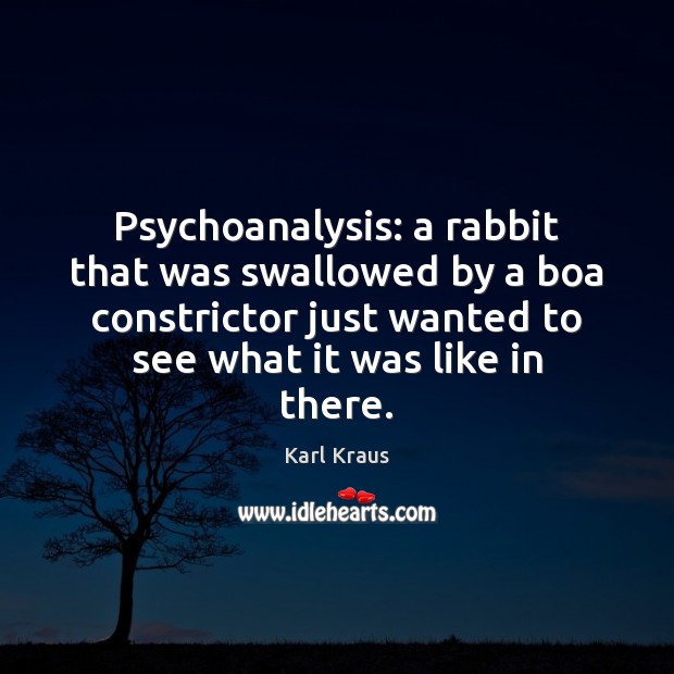 Psychoanalysis: a rabbit that was swallowed by a boa constrictor just wanted Karl Kraus Picture Quote