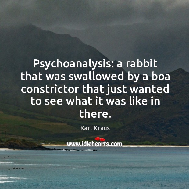 Psychoanalysis: a rabbit that was swallowed by a boa constrictor that just wanted to see what it was like in there. Image