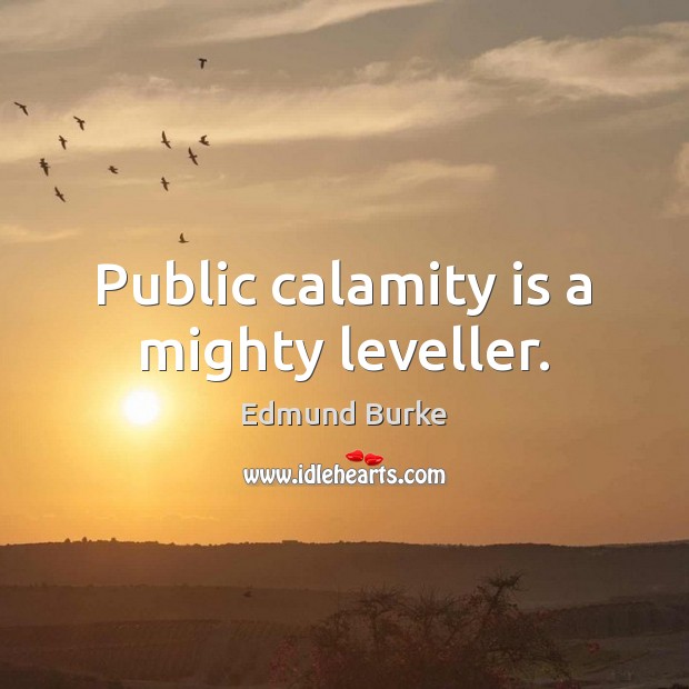 Public calamity is a mighty leveller. Edmund Burke Picture Quote