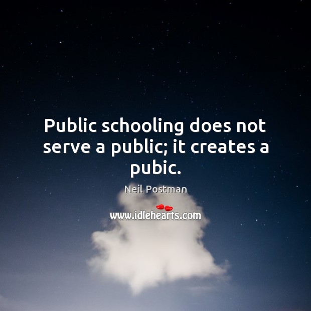 Public schooling does not serve a public; it creates a pubic. Image
