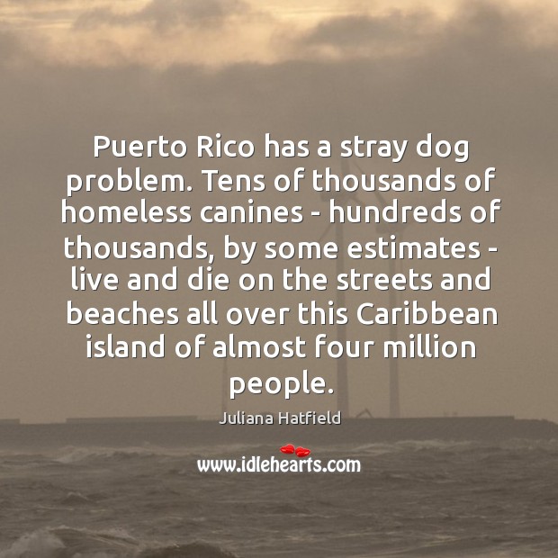 Puerto Rico has a stray dog problem. Tens of thousands of homeless Juliana Hatfield Picture Quote