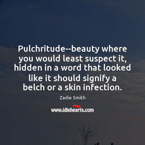 Pulchritude–beauty where you would least suspect it, hidden in a word that Zadie Smith Picture Quote