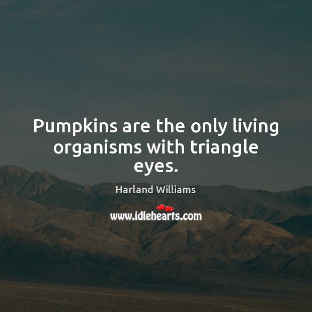 Pumpkins are the only living organisms with triangle eyes. Harland Williams Picture Quote