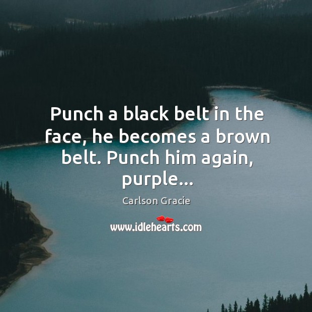 Punch a black belt in the face, he becomes a brown belt. Punch him again, purple… Carlson Gracie Picture Quote