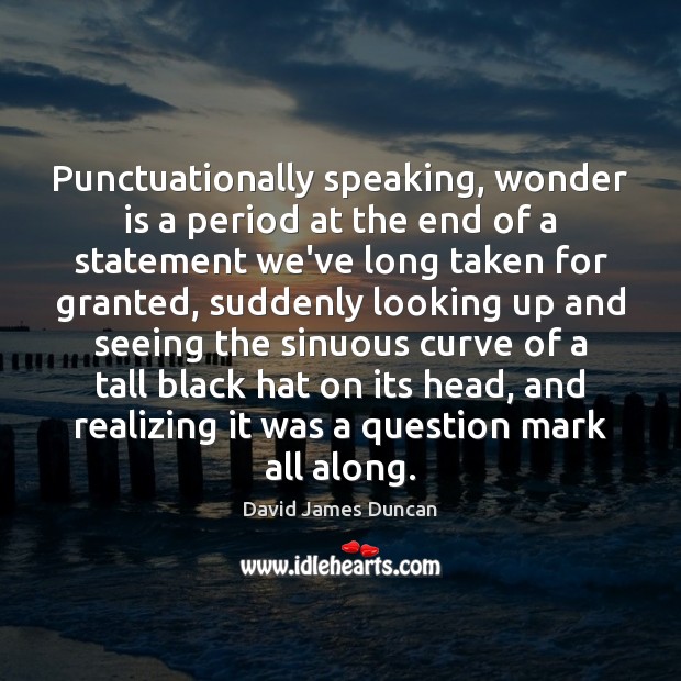 Punctuationally speaking, wonder is a period at the end of a statement David James Duncan Picture Quote