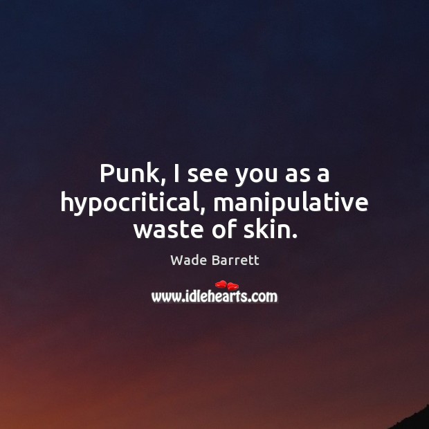 Punk, I see you as a hypocritical, manipulative waste of skin. Wade Barrett Picture Quote