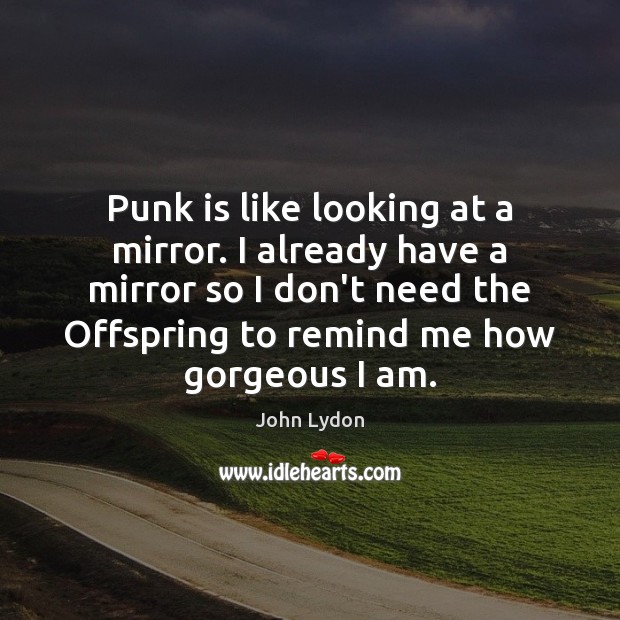 Punk is like looking at a mirror. I already have a mirror John Lydon Picture Quote
