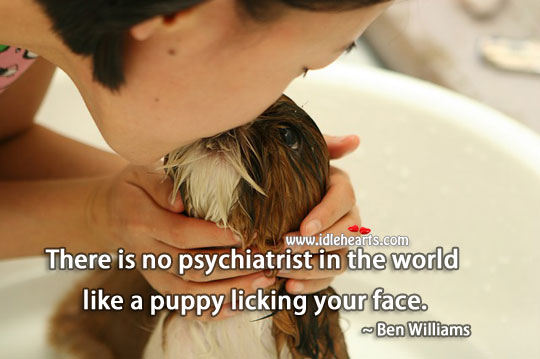There is no psychiatrist in the world like a puppy licking your face. Love Quotes Image