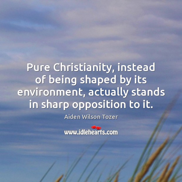 Pure Christianity, instead of being shaped by its environment, actually stands in Environment Quotes Image