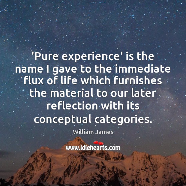 ‘Pure experience’ is the name I gave to the immediate flux of Image