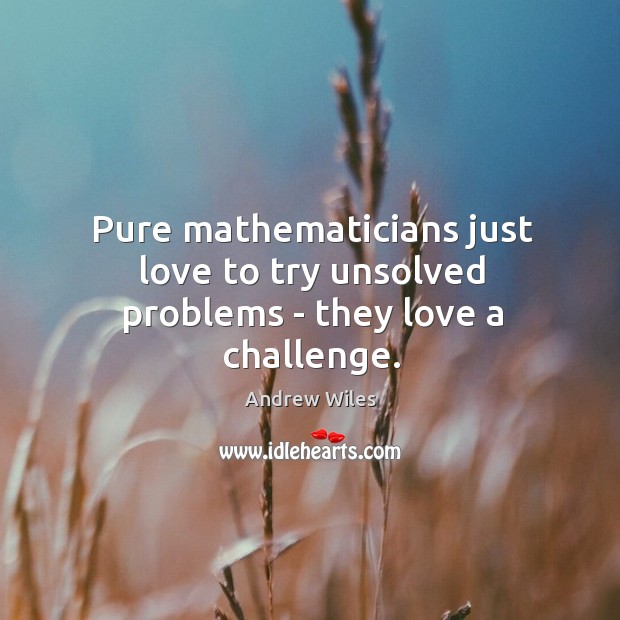 Pure mathematicians just love to try unsolved problems – they love a challenge. Andrew Wiles Picture Quote