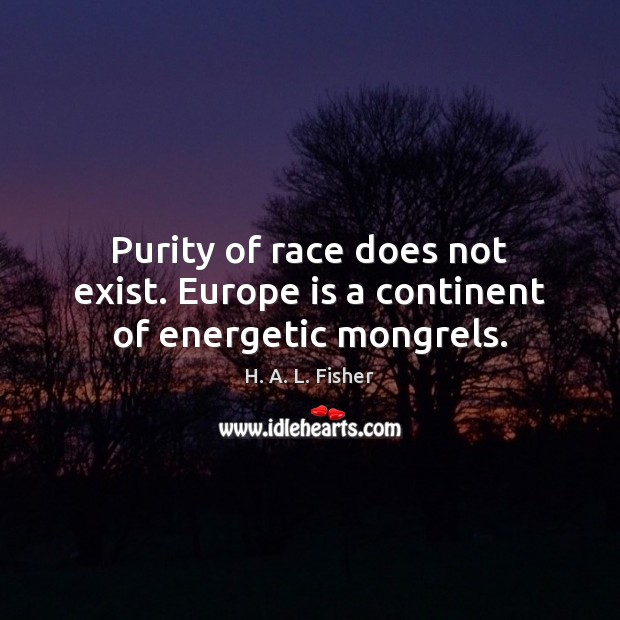 Purity of race does not exist. Europe is a continent of energetic mongrels. H. A. L. Fisher Picture Quote