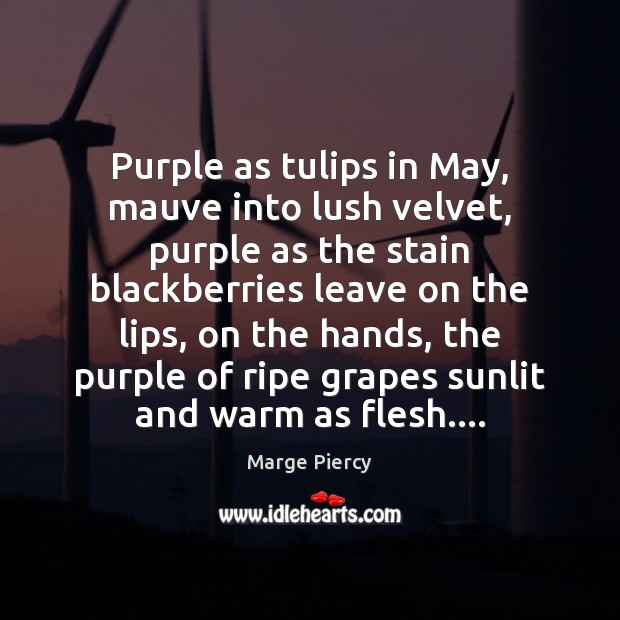 Purple as tulips in May, mauve into lush velvet, purple as the Marge Piercy Picture Quote