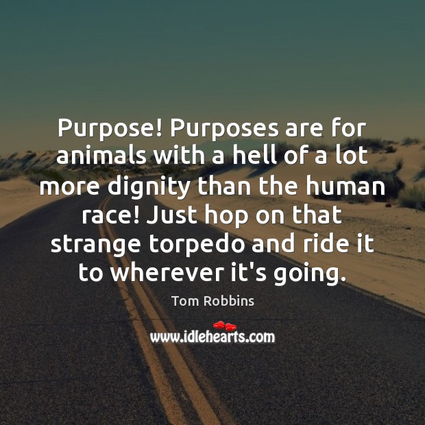 Purpose! Purposes are for animals with a hell of a lot more Image