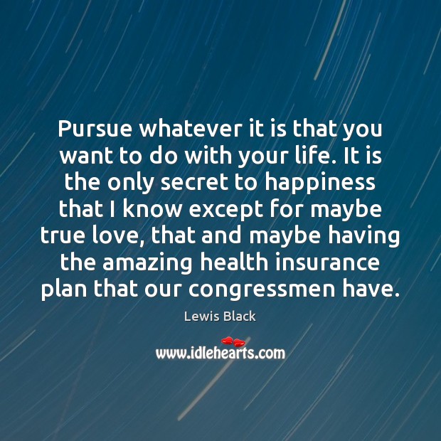 Pursue whatever it is that you want to do with your life. Lewis Black Picture Quote