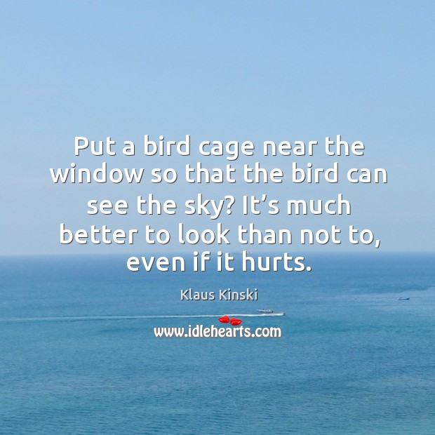 Put a bird cage near the window so that the bird can see the sky? Klaus Kinski Picture Quote