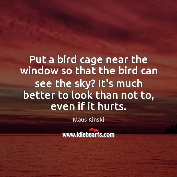 Put a bird cage near the window so that the bird can Klaus Kinski Picture Quote