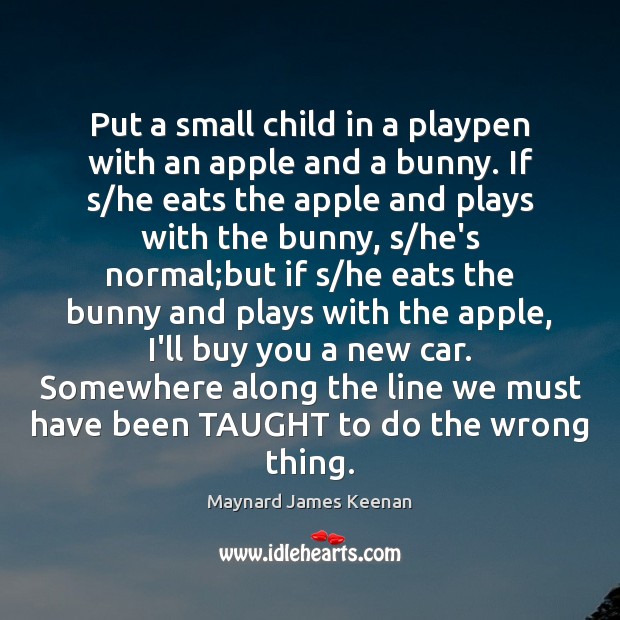 Put a small child in a playpen with an apple and a Maynard James Keenan Picture Quote