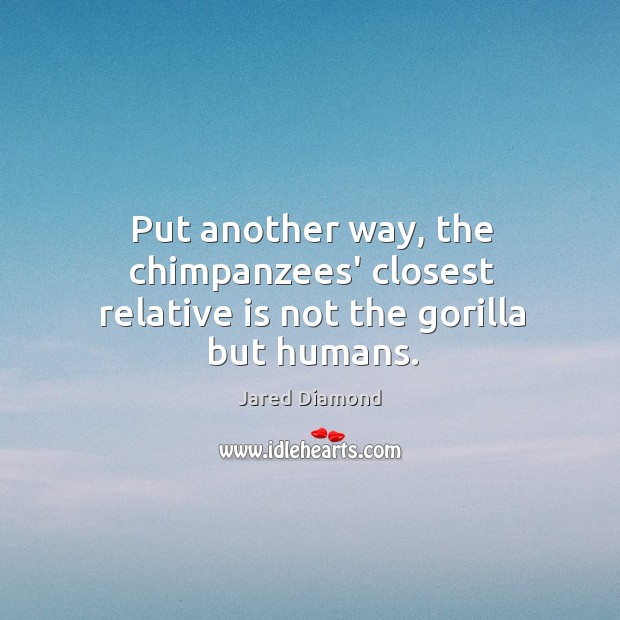 Put another way, the chimpanzees’ closest relative is not the gorilla but humans. Jared Diamond Picture Quote