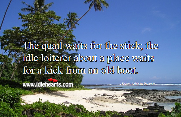 The quail waits for the stick; the idle loiterer about a place waits for a kick from an old boot. South African Proverbs Image