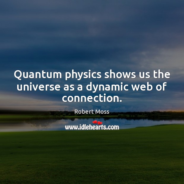 Quantum physics shows us the universe as a dynamic web of connection. Robert Moss Picture Quote
