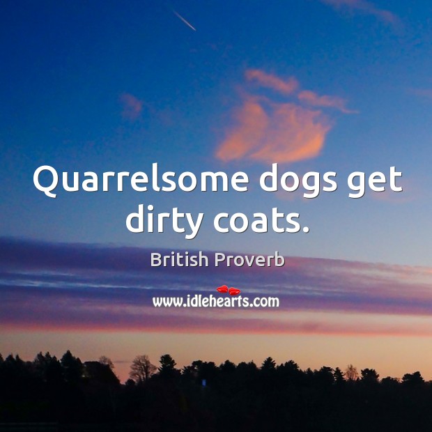 Quarrelsome dogs get dirty coats. Image
