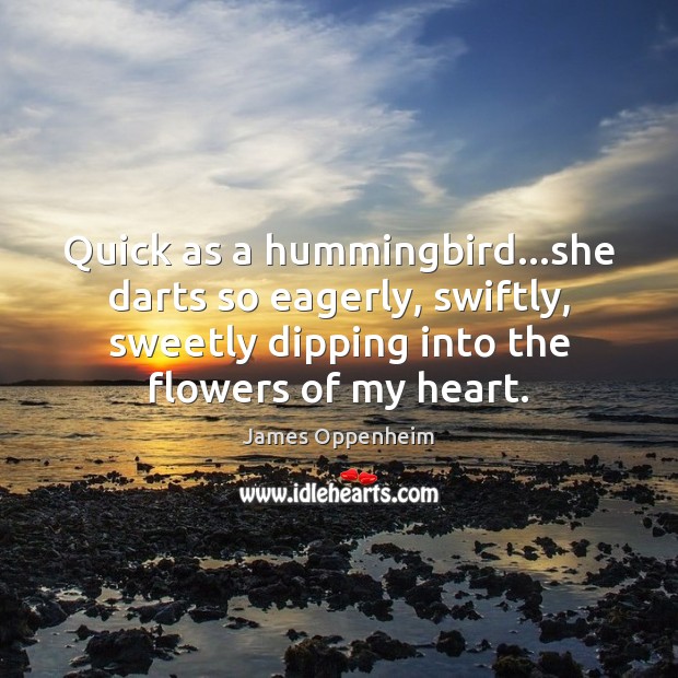Quick as a hummingbird…she darts so eagerly, swiftly, sweetly dipping into James Oppenheim Picture Quote