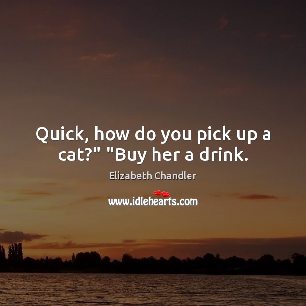 Quick, how do you pick up a cat?” “Buy her a drink. Elizabeth Chandler Picture Quote