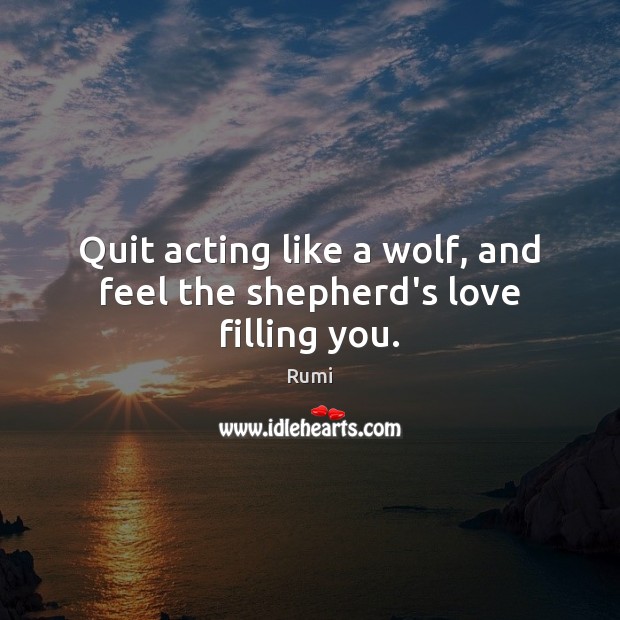 Quit acting like a wolf, and feel the shepherd’s love filling you. Rumi Picture Quote