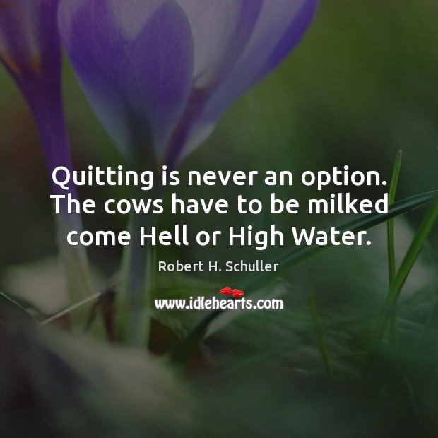 Quitting is never an option. The cows have to be milked come Hell or High Water. Robert H. Schuller Picture Quote