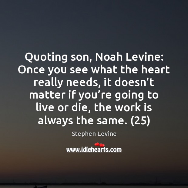 Quoting son, Noah Levine: Once you see what the heart really needs, Stephen Levine Picture Quote