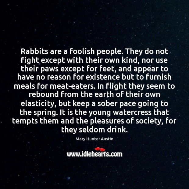 Rabbits are a foolish people. They do not fight except with their Mary Hunter Austin Picture Quote