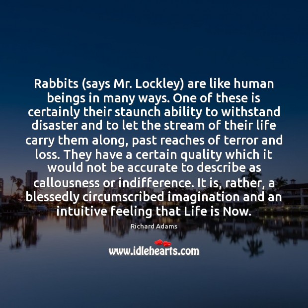 Rabbits (says Mr. Lockley) are like human beings in many ways. One Richard Adams Picture Quote