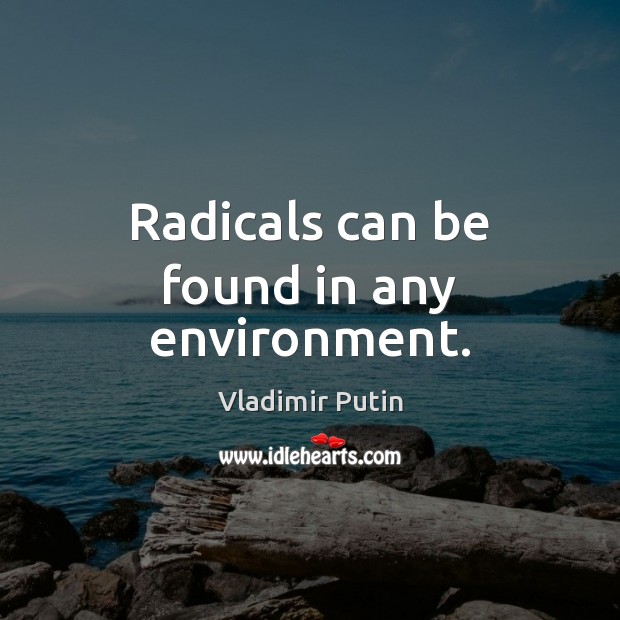 Radicals can be found in any environment. Vladimir Putin Picture Quote