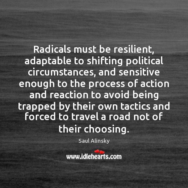 Radicals must be resilient, adaptable to shifting political circumstances, and sensitive enough Saul Alinsky Picture Quote