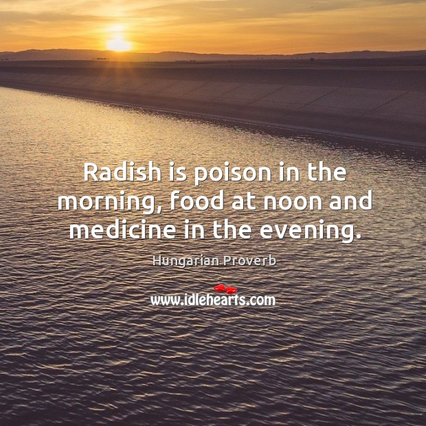 Radish is poison in the morning, food at noon and medicine in the evening. Hungarian Proverbs Image