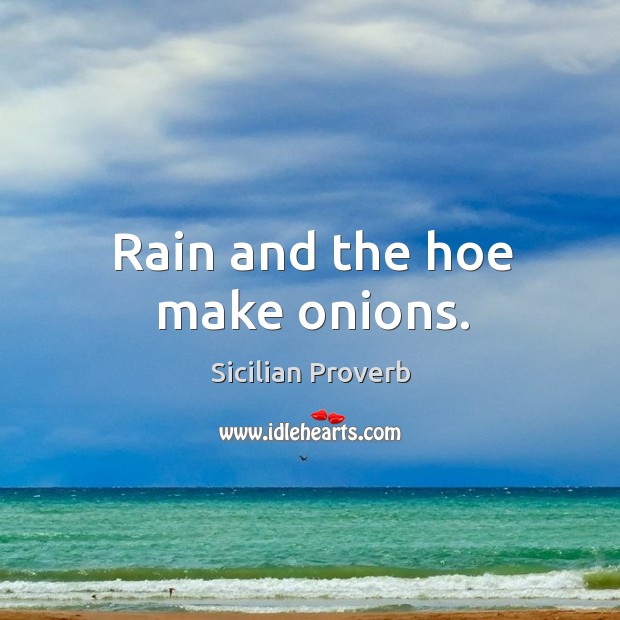Rain and the hoe make onions. Image