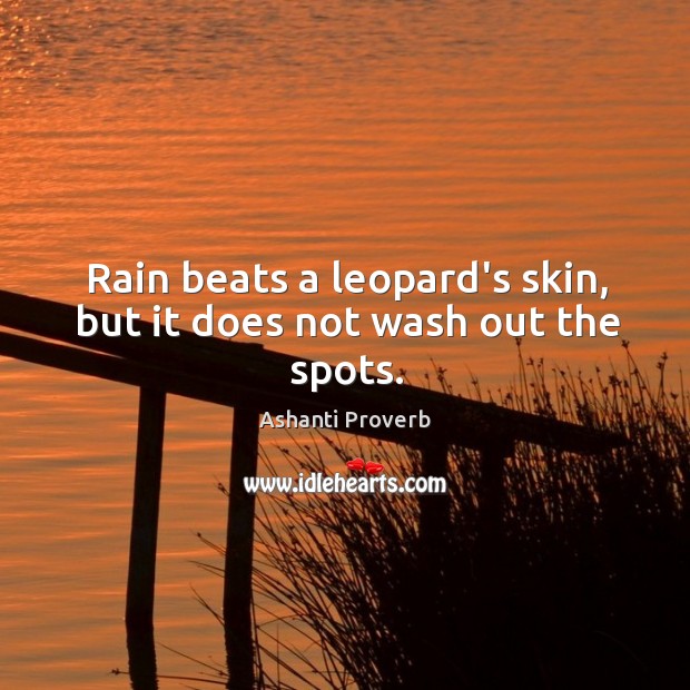 Rain beats a leopard’s skin, but it does not wash out the spots. Ashanti Proverbs Image