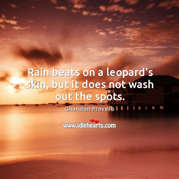 Rain beats on a leopard’s skin, but it does not wash out the spots. Ghanaian Proverbs Image